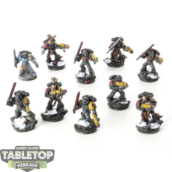 Space Wolves - 10 x Grey Hunters - bemalt