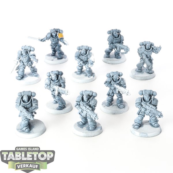 Deathwatch - 10 x Intercessors - teilweise bemalt