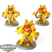 Space Marines - 3x Primaris Aggressors - bemalt