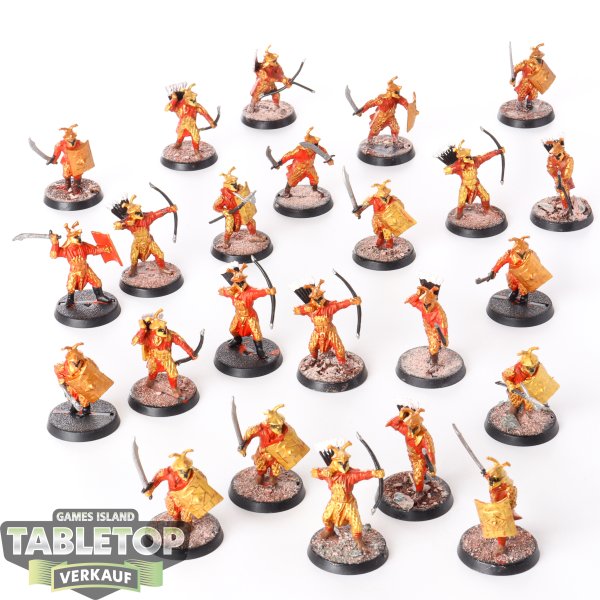 HdR Figuren - Böse - 24x Easterling Warriors - teilweise bemalt