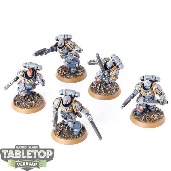 Space Marines - 5x Assault Intercessors - bemalt