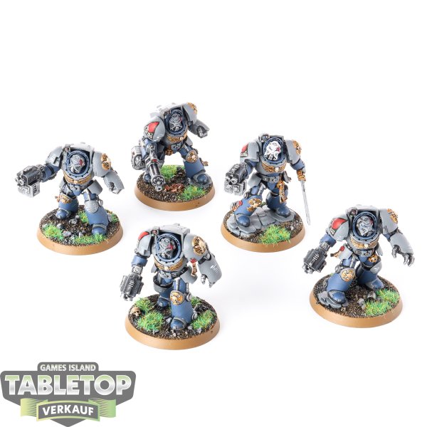 Space Marines - 5x Terminator Squad - bemalt