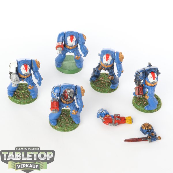 Space Marines - 5x Terminator Assault Squad Klassisch - teilweise bemalt