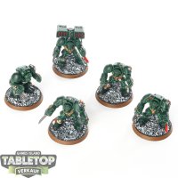 Space Marines - 5x Terminator Assault Squad - bemalt