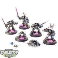 Grey Knights - 5 x Grey Knights Paladins - bemalt