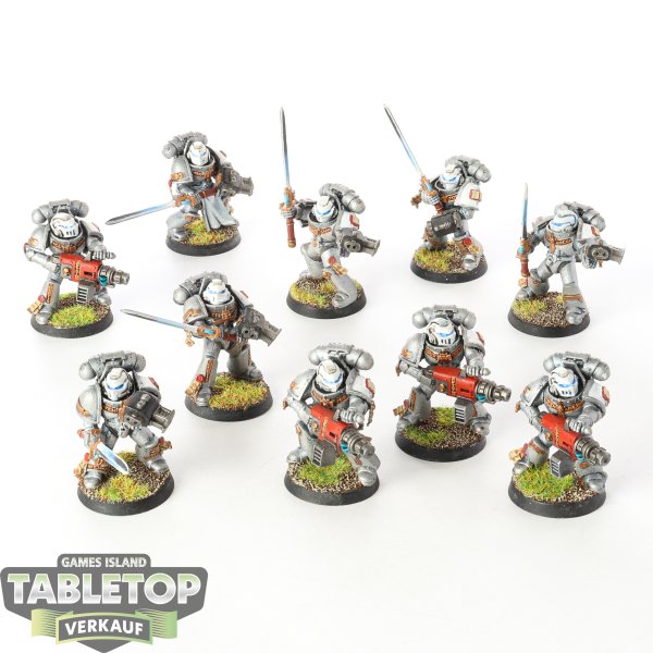 Grey Knights - 10 Purifiers - bemalt