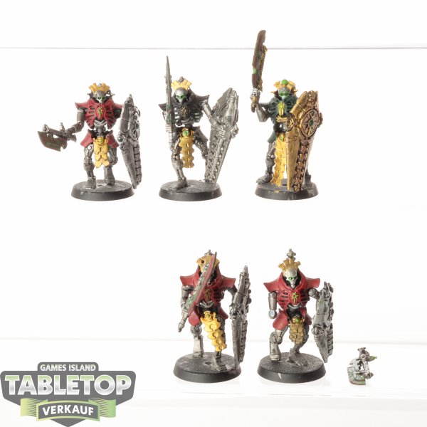 Necrons - 5 x Lychguard - bemalt