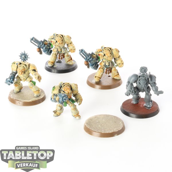 Dark Angels - 5x Deathwing Terminators - teilweise bemalt