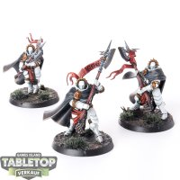 Stormcast Eternals - 3 Praetors - bemalt