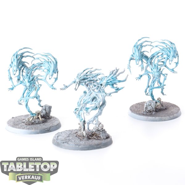 Nighthaunt - 3x Spirit Hosts - bemalt