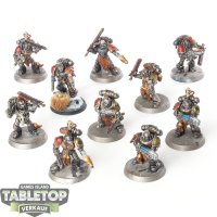 Space Wolves - 10 x Grey Hunters - bemalt