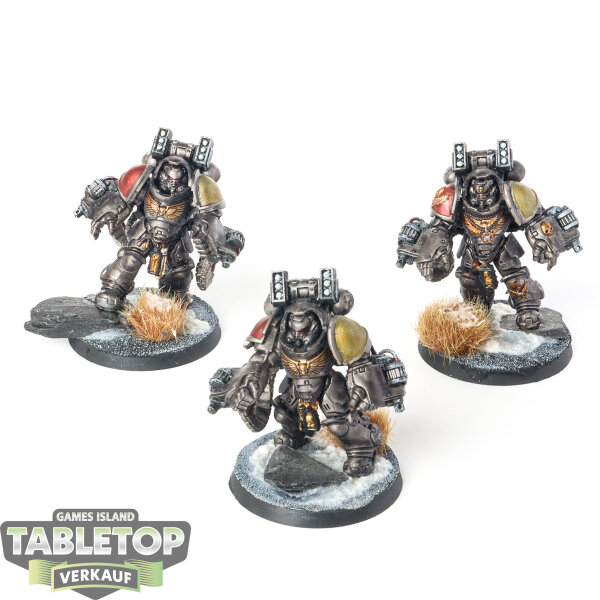 Space Wolves - 3 x Primaris Aggressors - bemalt