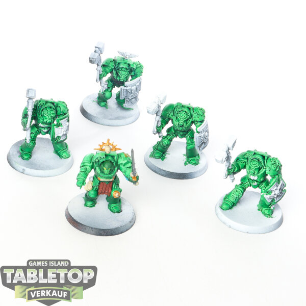 Space Marines - 5x Terminator Assault Squad - teilweise bemalt