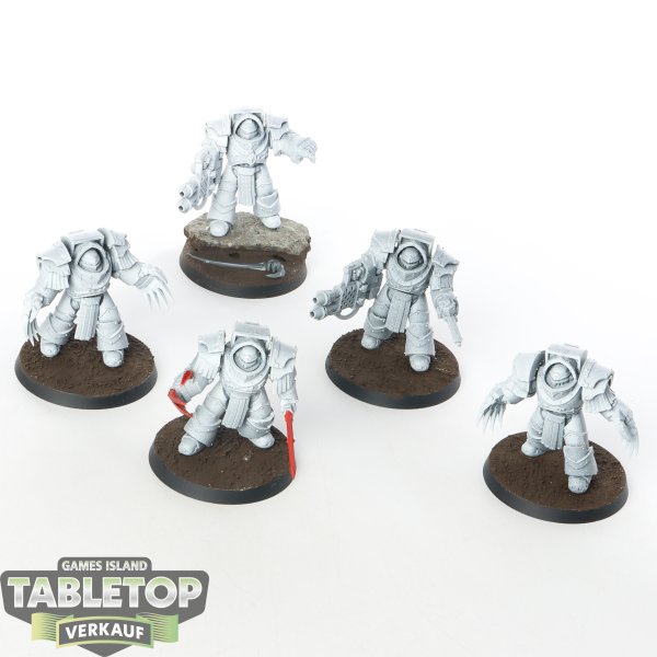 Horus Heresy - 5x Legion Cataphractii Terminator Squad - teilweise bemalt