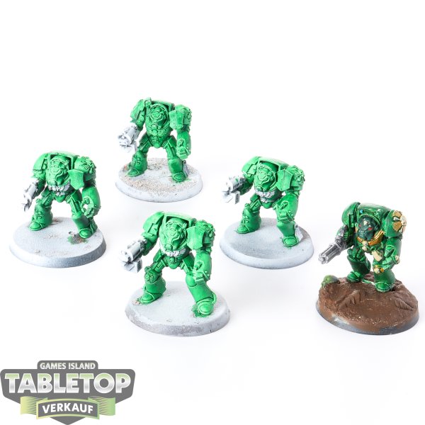 Space Marines - 5x Terminator klassisch - teilweise bemalt