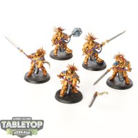 Stormcast Eternals - 5 Protectors - bemalt