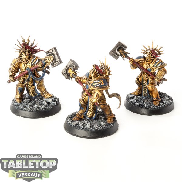 Stormcast Eternals - 3 Protectors - bemalt