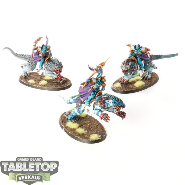 Stormcast Eternals - 3 Evocators on Celestial Dracolines - bemalt