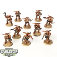 Space Marines - 10 Primaris Reivers - bemalt