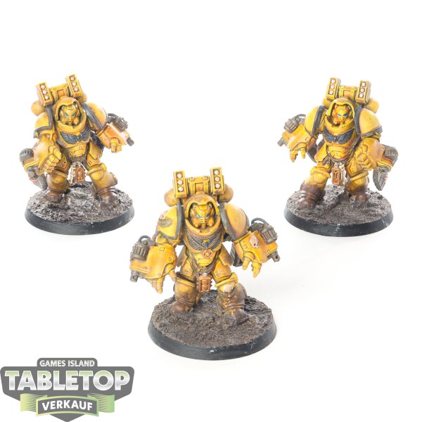 Space Marines - 3 x Primaris Aggressors - bemalt