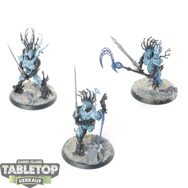 Sylvaneth - 3 x Kurnoth Hunters - bemalt