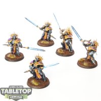 Stormcast Eternals - 5x Protectors - bemalt