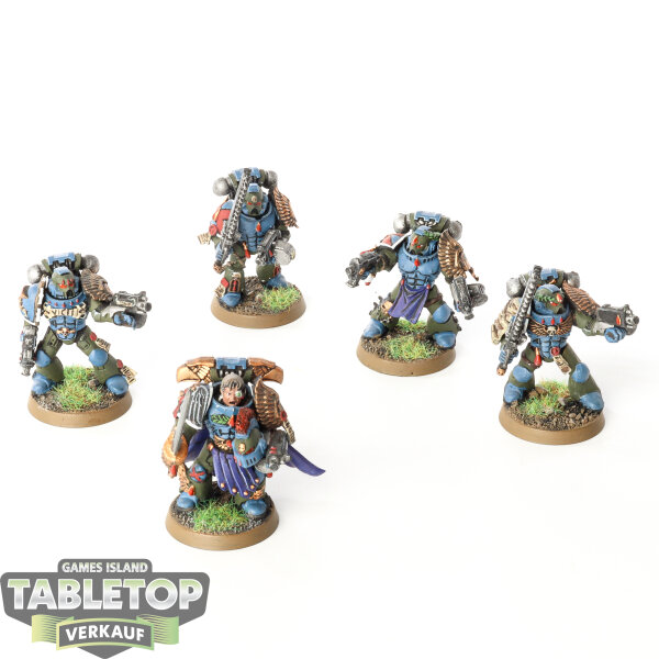 Space Marines - 5x Vanguard Veteran Squad - bemalt