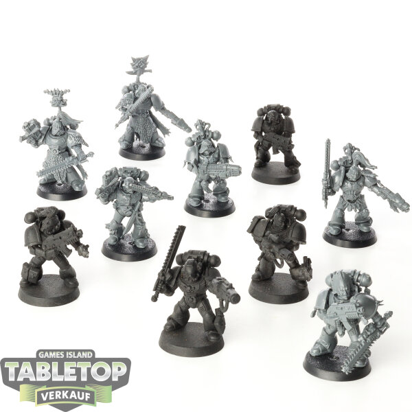Space Wolves - 10x Grey Hunters - teilweise bemalt