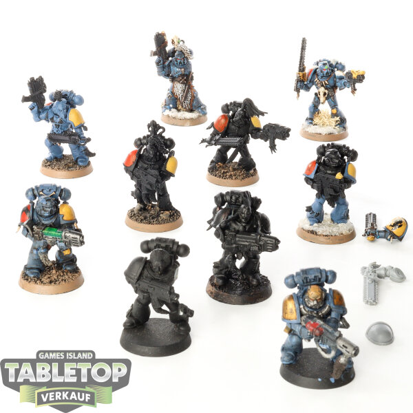 Space Wolves - 10x Grey Hunters - teilweise bemalt
