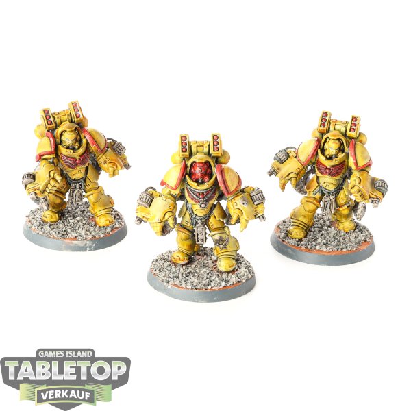 Space Marines - 3 Primaris Agressors - bemalt