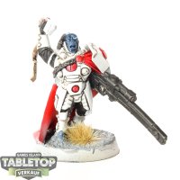 Tau Empire - Cadre Fireblade - teilweise bemalt