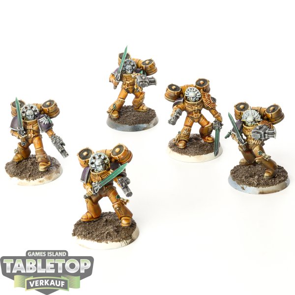 Blood Angels - 5x Sanguinary Guard - bemalt