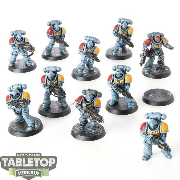 Space Wolves - 10 Intercessors - bemalt