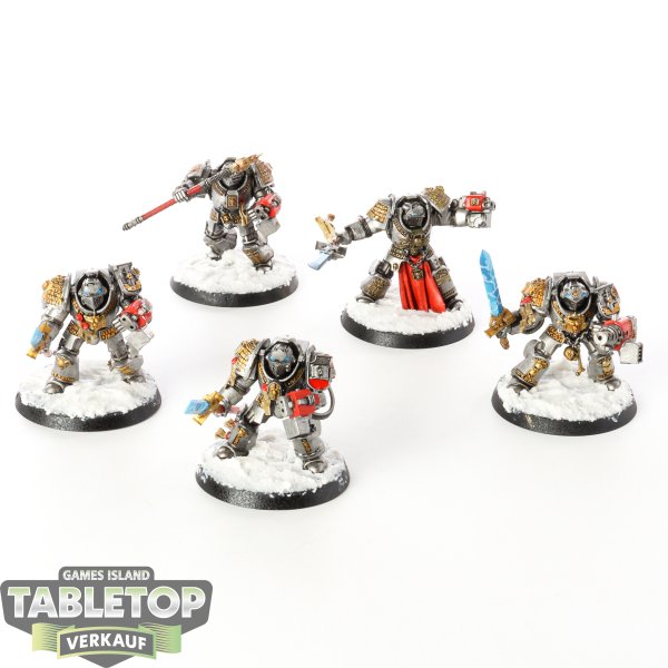 Grey Knights - 5 Terminators - bemalt