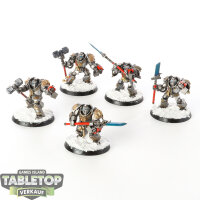 Grey Knights - 5 Terminators - bemalt