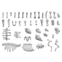Green Stuff World - 3D printed set - Animal Bones 1:48