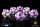 Baron of Dice - Infinity: Aleph - Official Dice Set (6 Dices)