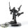 Craftworlds - Sslyth - grundiert