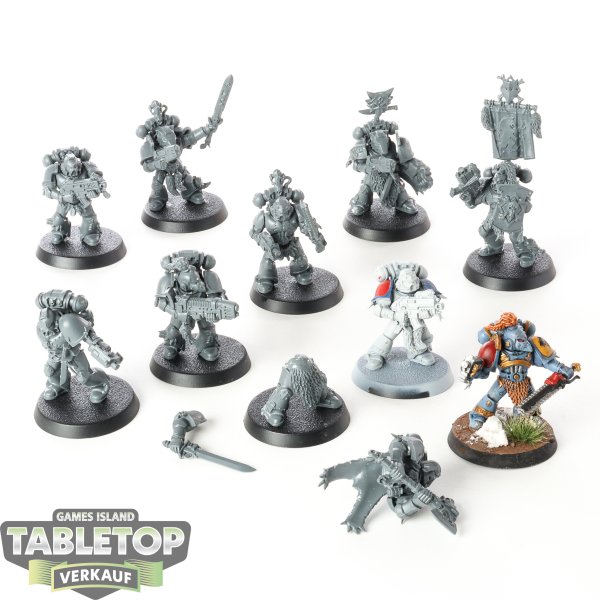 Space Wolves - 10 x Grey Hunters - teilweise bemalt