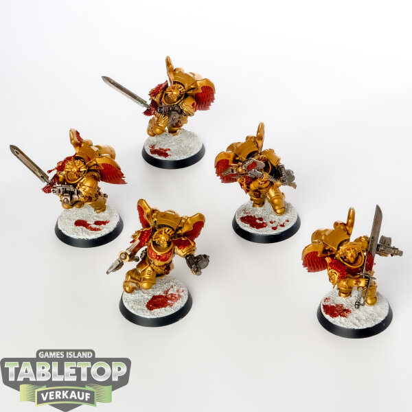 Blood Angels - 5 Sanguinary Guard - bemalt