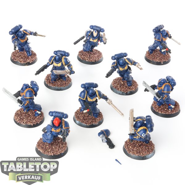 Space Marines - 10x Assault Intercessors - bemalt