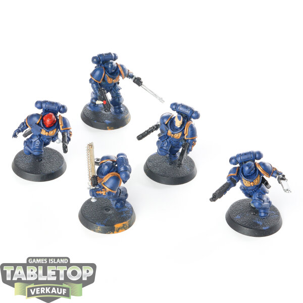 Space Marines - 5x Assault Intercessors - teilweise bemalt