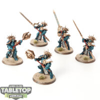 Stormcast Eternals - 5 x Protectors - bemalt