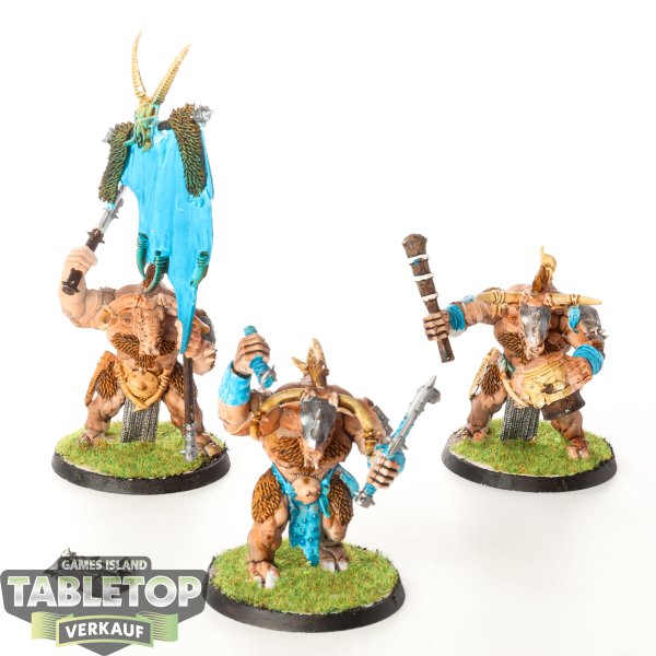 Beastmen Brayherds - 3 x Minotaurs - bemalt