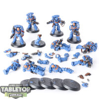 Ultramarines - 10x Intercessors - bemalt