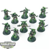 Salamanders - 10 x Primaris Reivers - bemalt