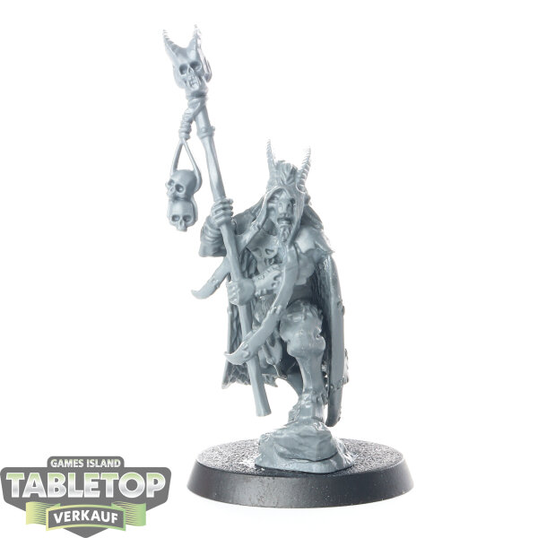 Beasts of Chaos - Great Bray-Shaman - unbemalt