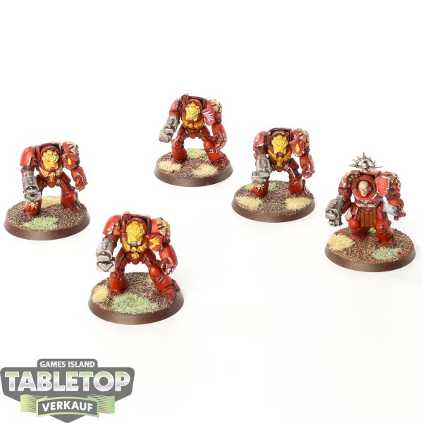 Blood Angels - 5 x Terminator Squad klassisch - bemalt