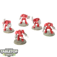 Space Marines - 5x Terminator Assault Squad - teilweise...
