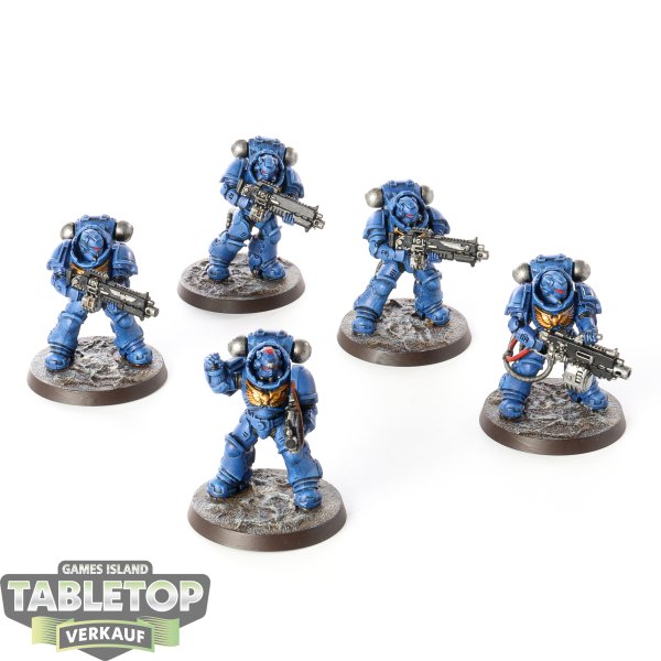 Space Marines - 5x Heavy Intercessors - bemalt